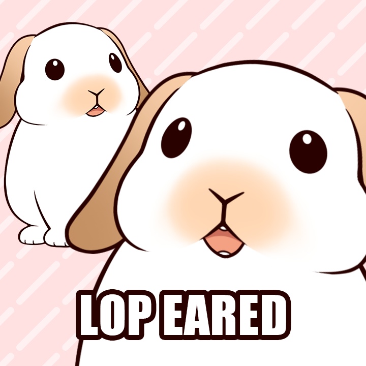 Live2Dうさぎアバター 第2弾