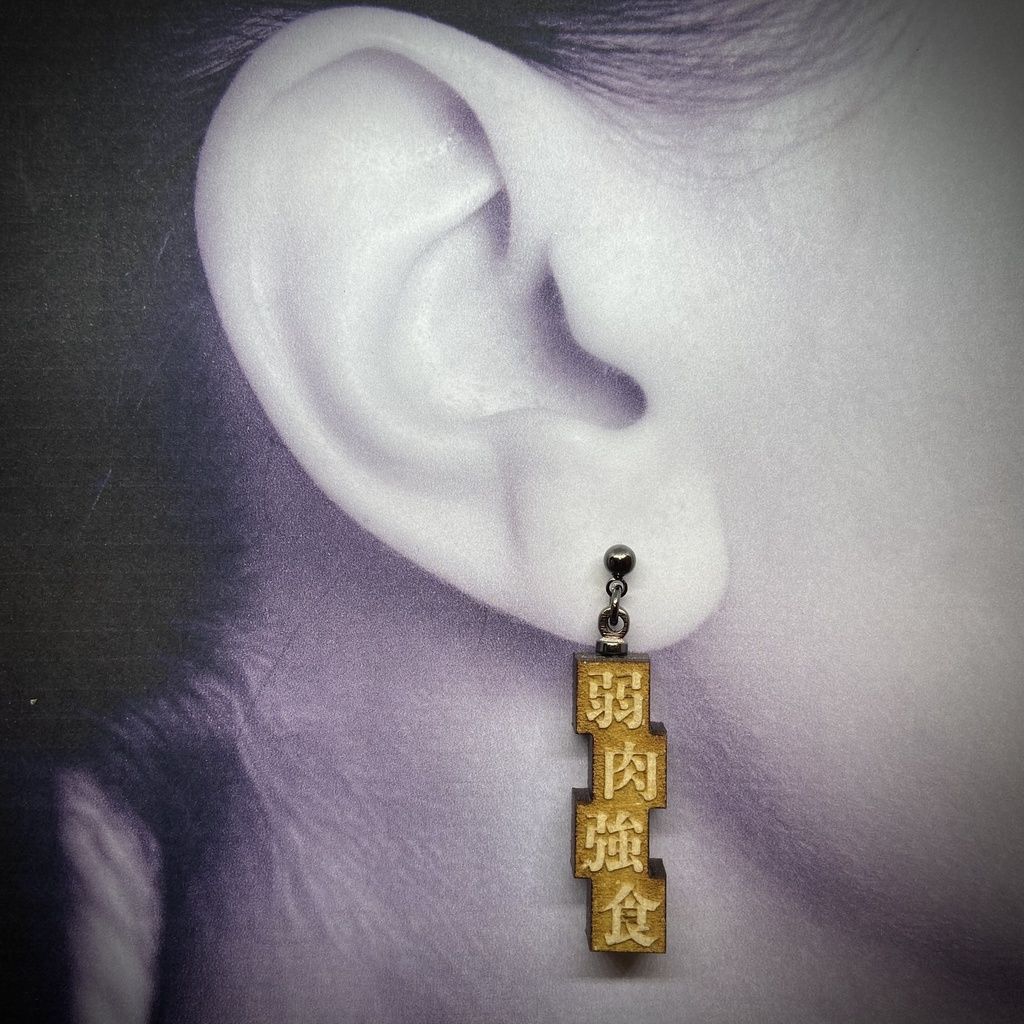 活字風四字熟語ピアス「弱肉強食」