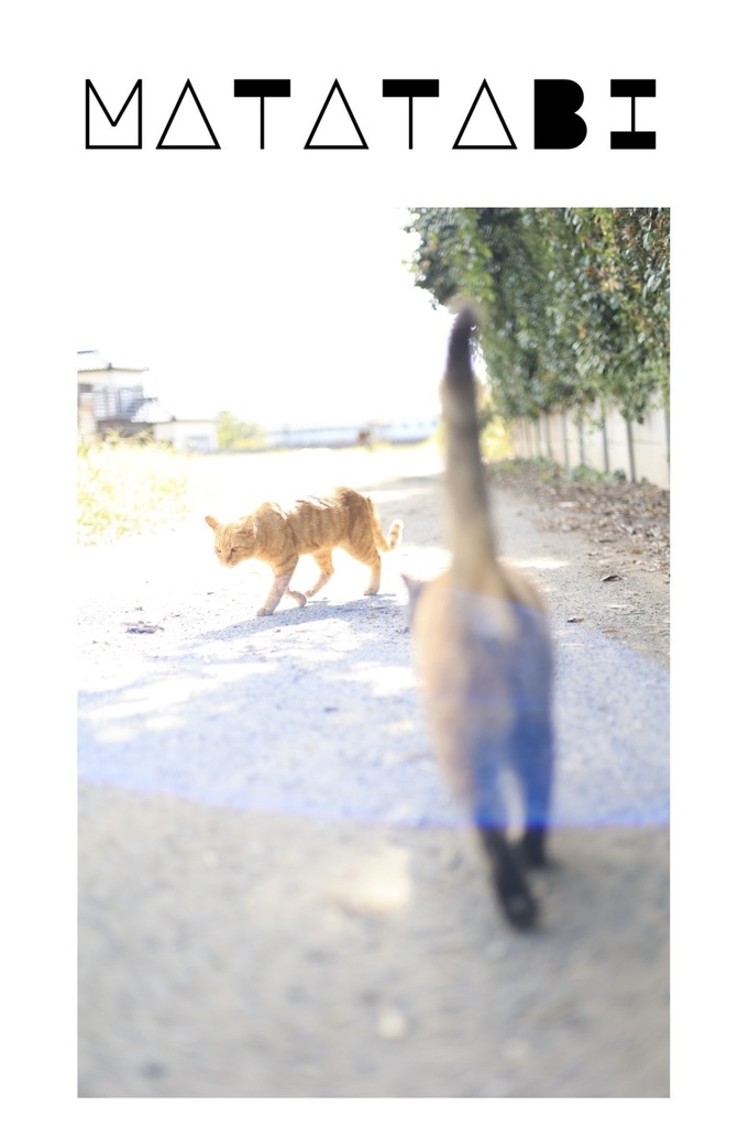 『MATATABI』