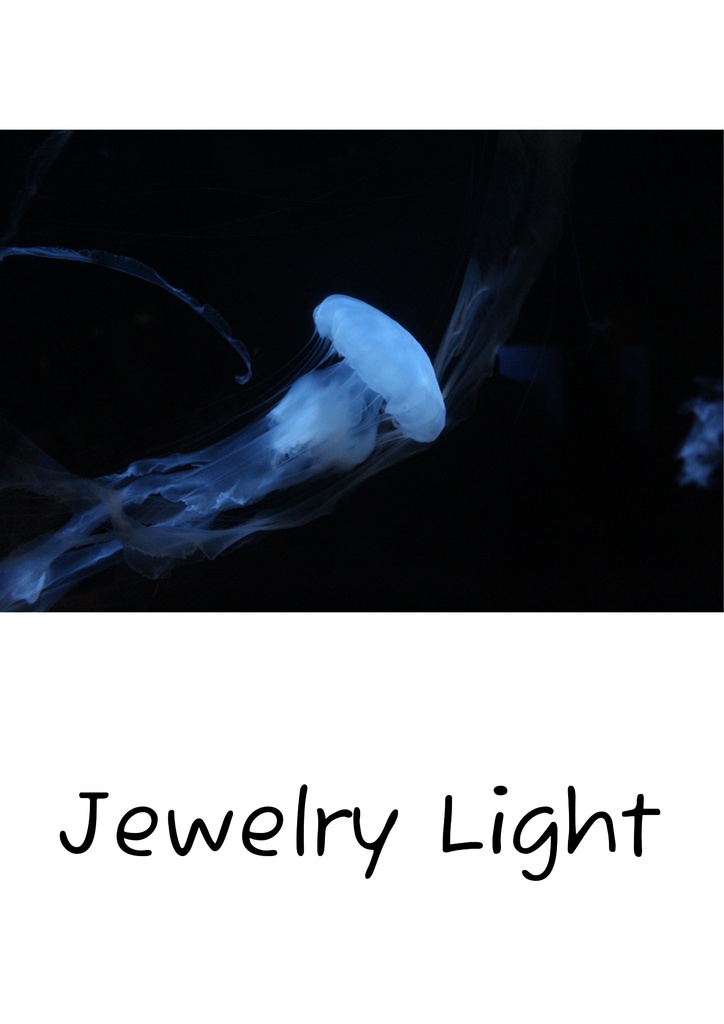 Jewelry Light