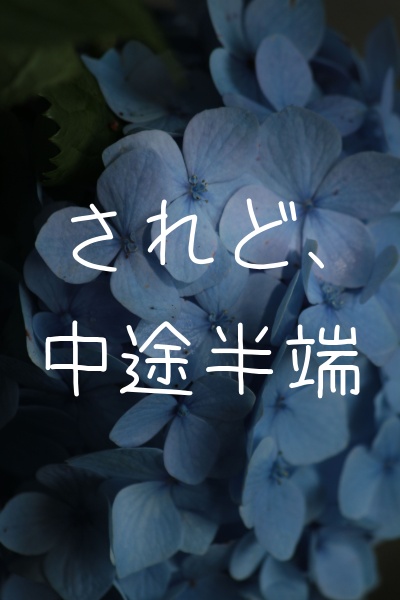 『されど、中途半端』