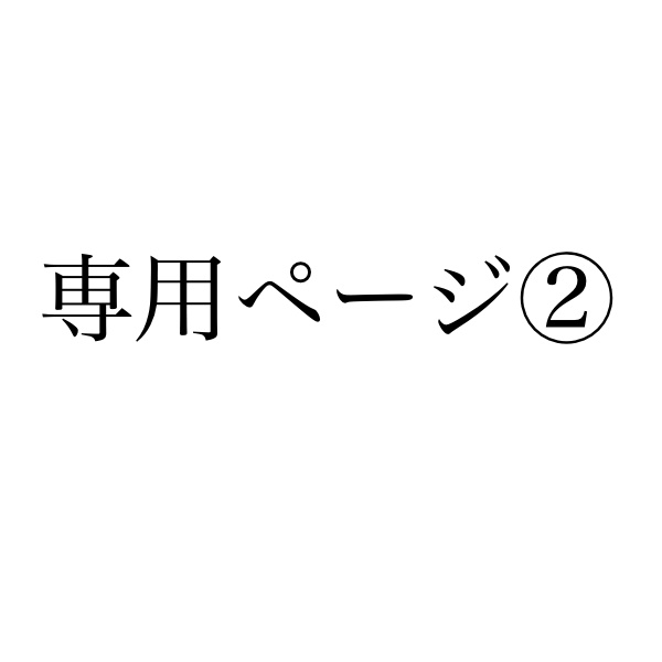 専用ページ②
