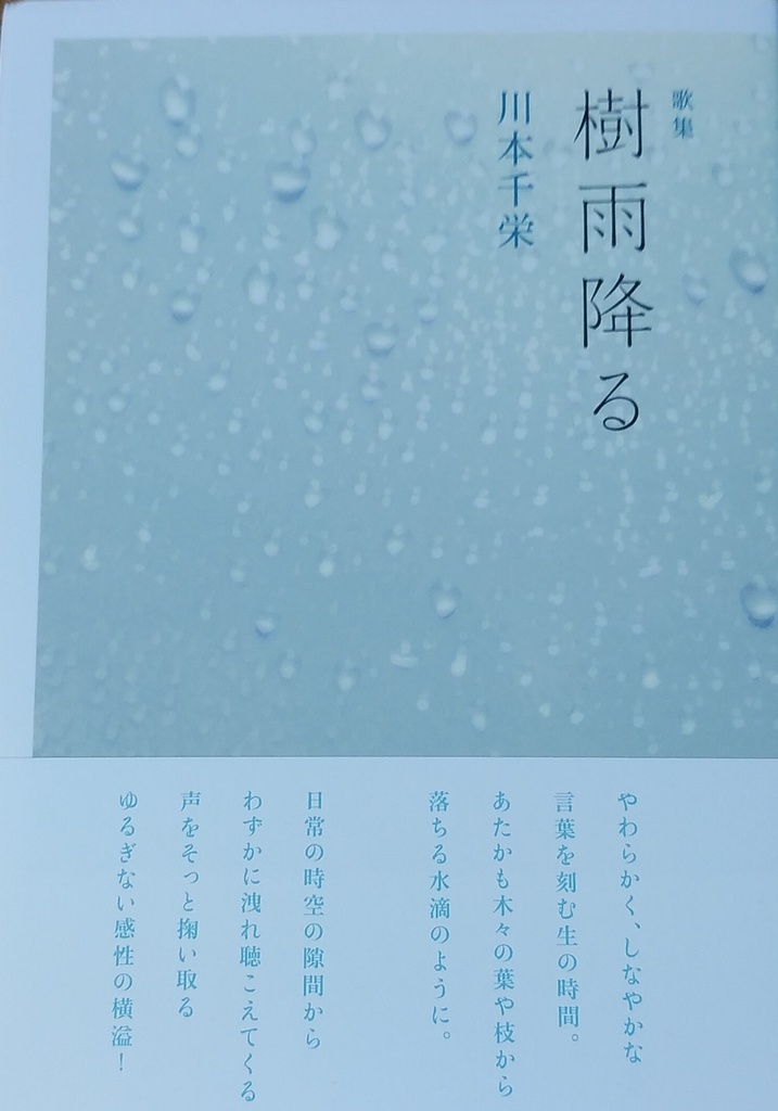 樹雨降る
