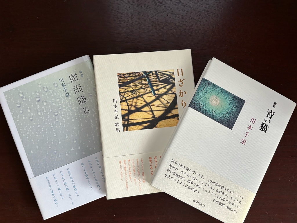 青い猫・日ざかり・樹雨降る　三冊セット