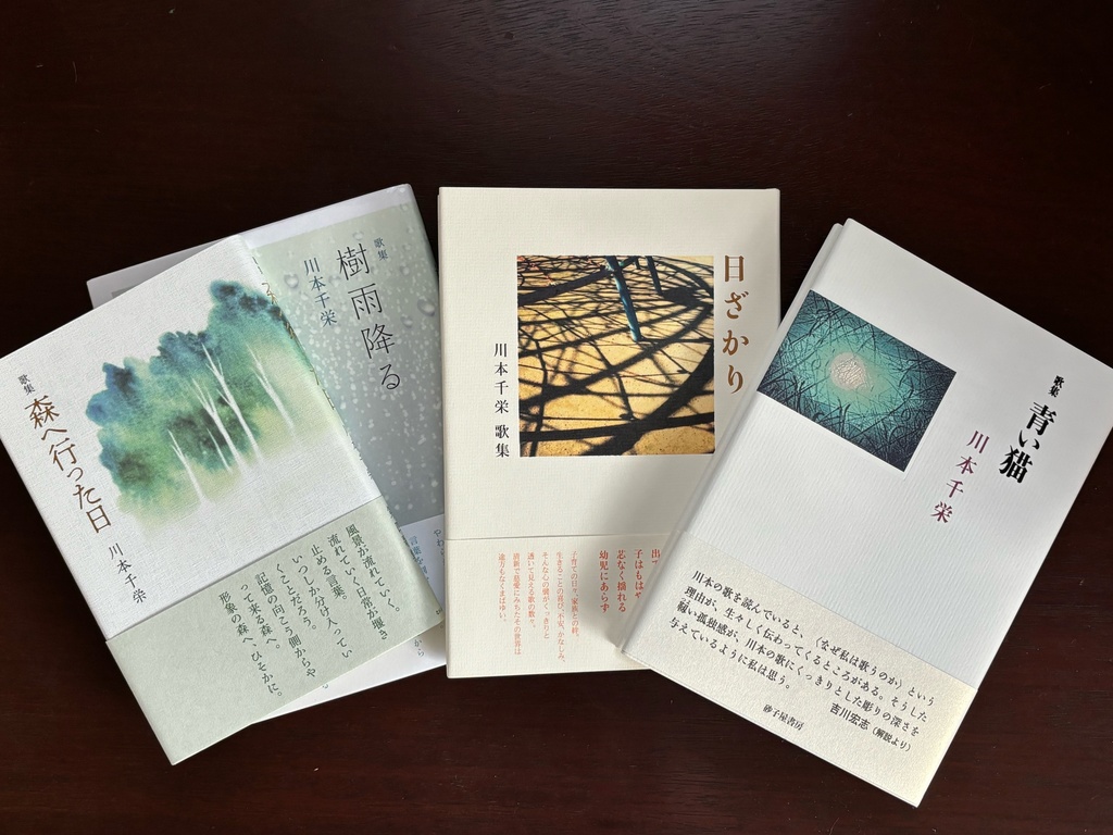 青い猫・日ざかり・樹雨降る・森へ行った日　四冊セット