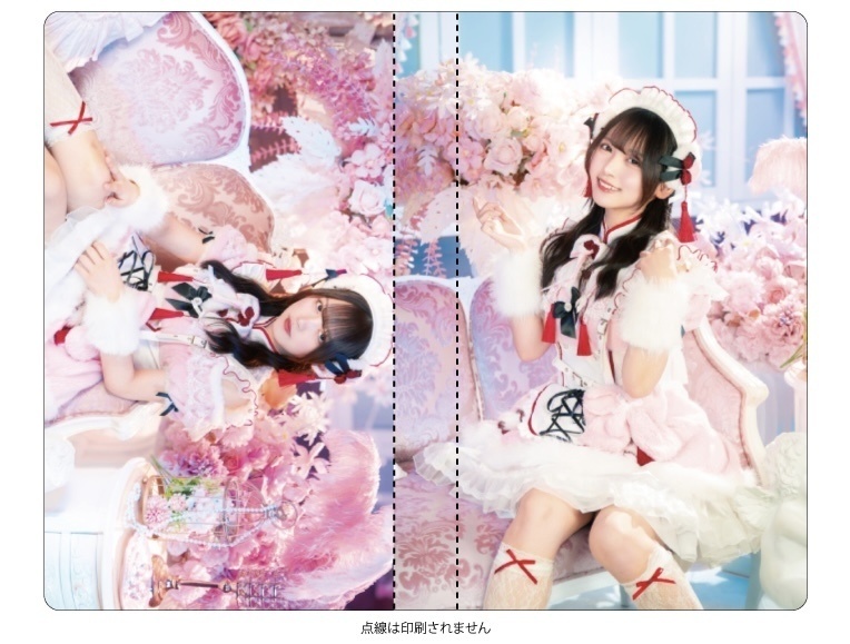 2026生誕記念♡チェキファイル