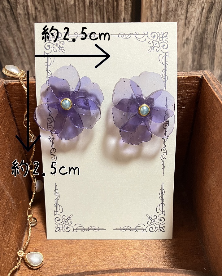 【ヨミガエリの記憶】クローディアの耳飾り -No.2-