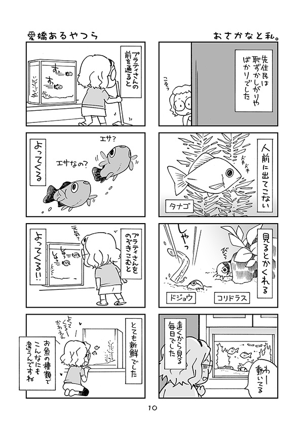【完売】おさかなまんが-プラティを飼いました-