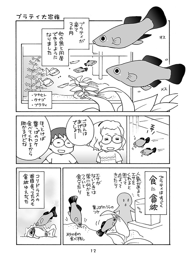 【完売】おさかなまんが-プラティを飼いました-