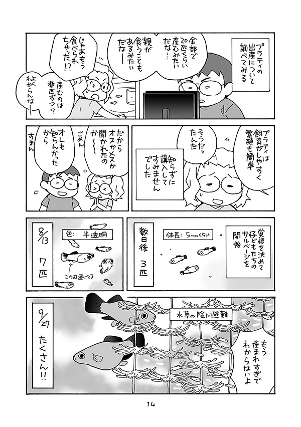 【完売】おさかなまんが-プラティを飼いました-