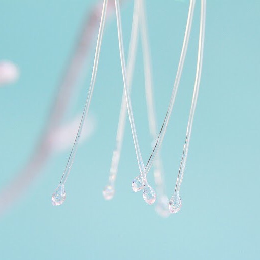 カツオノエボシ