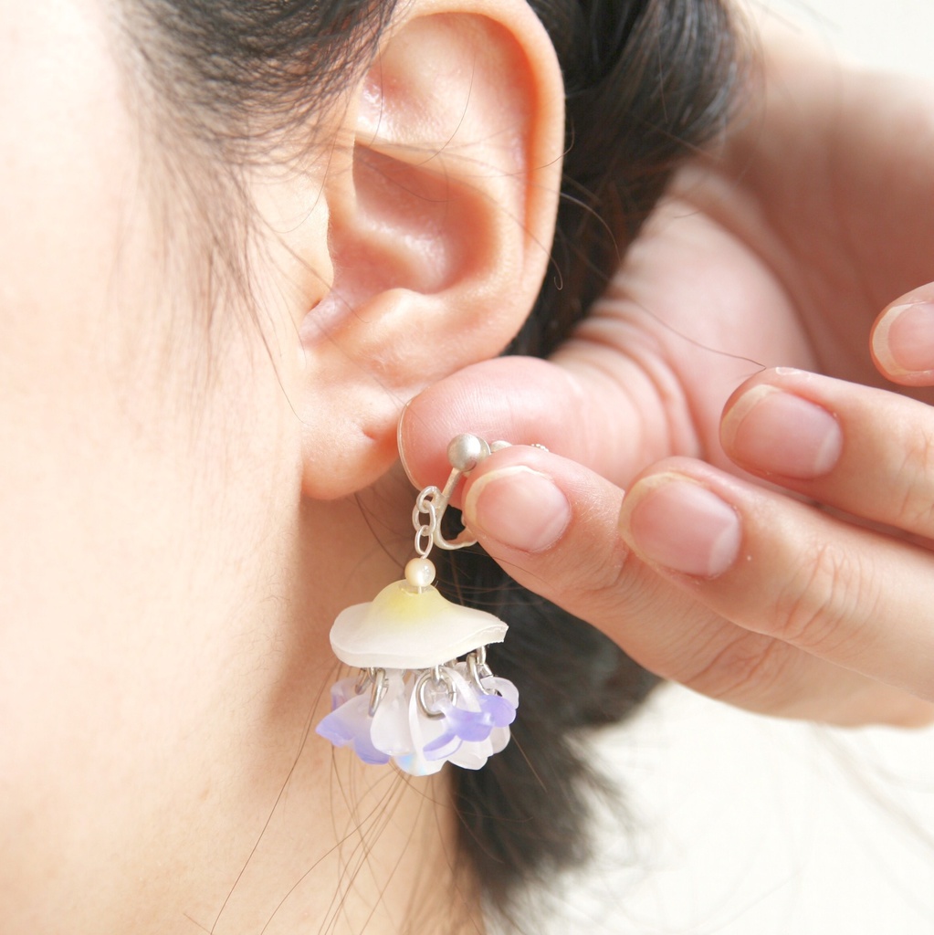 コティロリーザ・ツベルクラータ