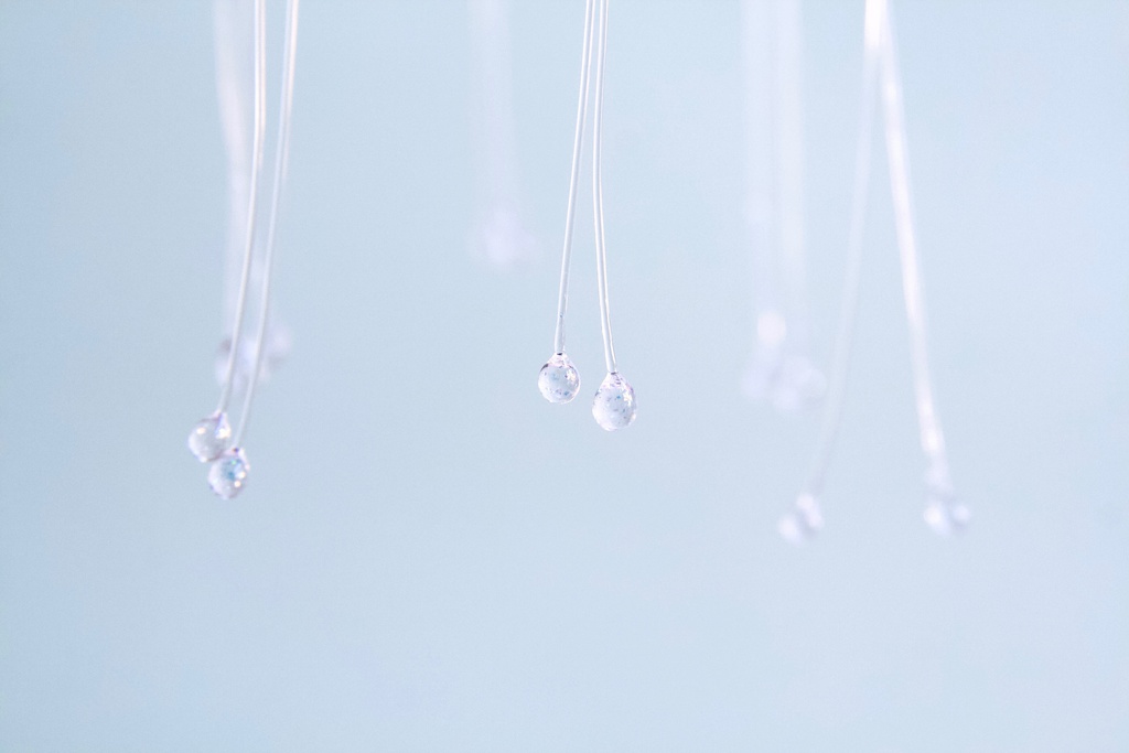 アカクラゲのサンキャッチャー