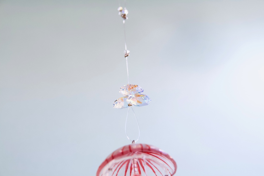 アカクラゲのサンキャッチャー