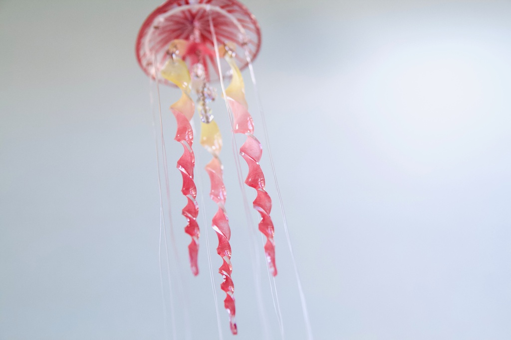 アカクラゲのサンキャッチャー