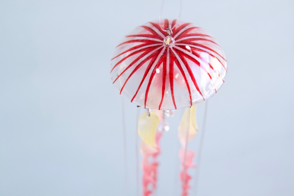 アカクラゲのサンキャッチャー