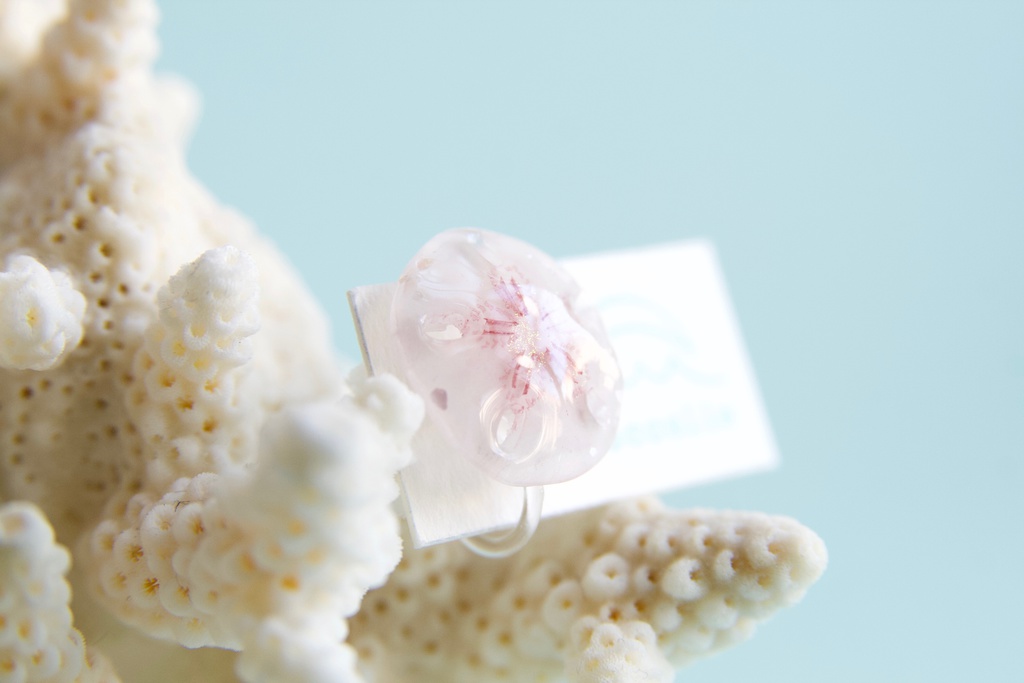 スカシカシパン(赤)