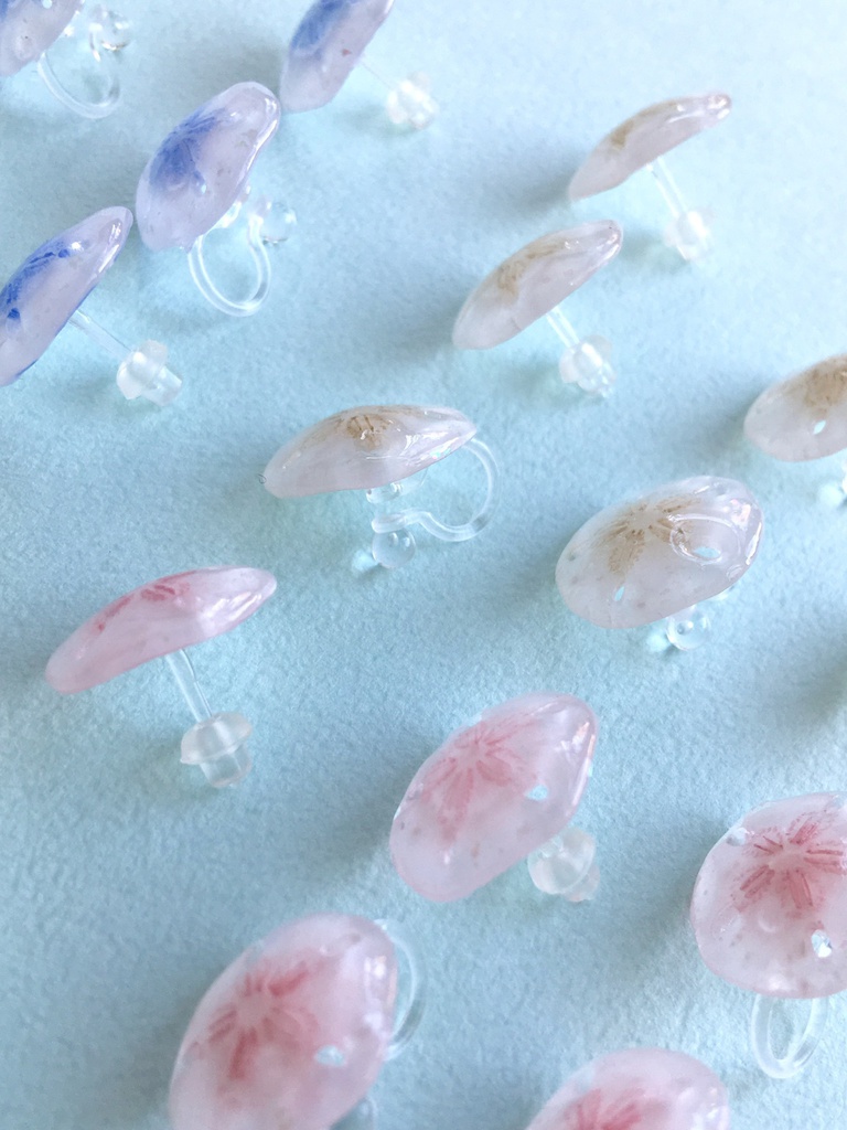 スカシカシパン(赤)