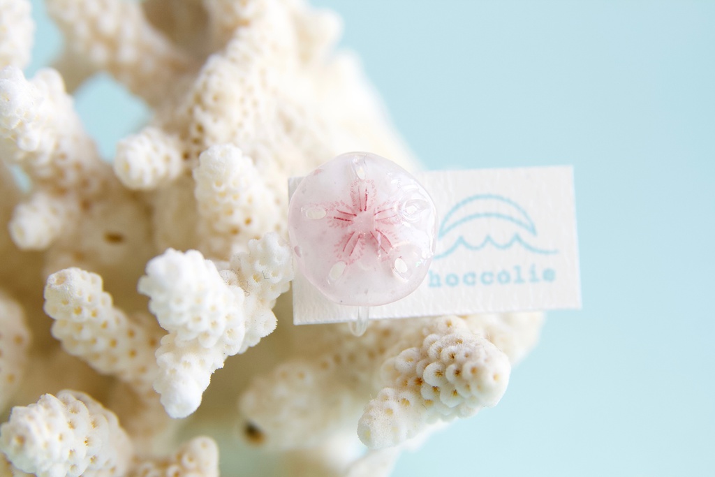 スカシカシパン(赤)