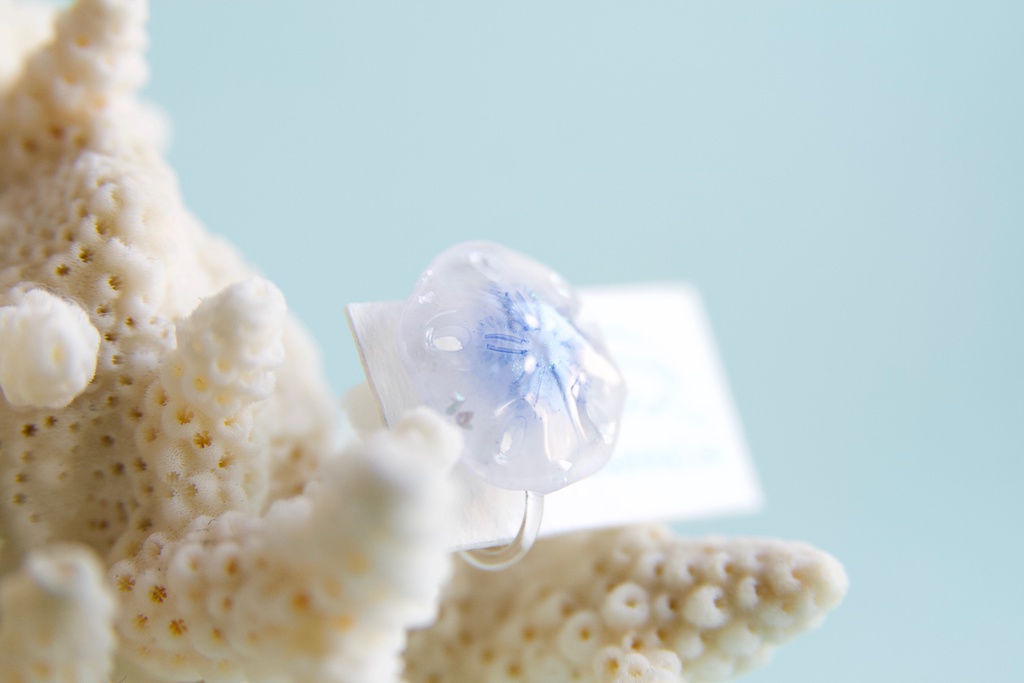 スカシカシパン(青)