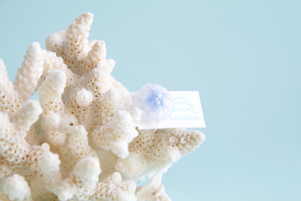 スカシカシパン(青)