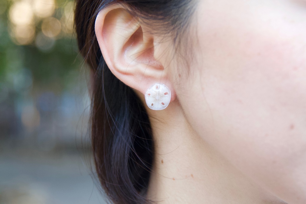 スカシカシパン(青)