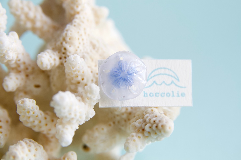 スカシカシパン(青)