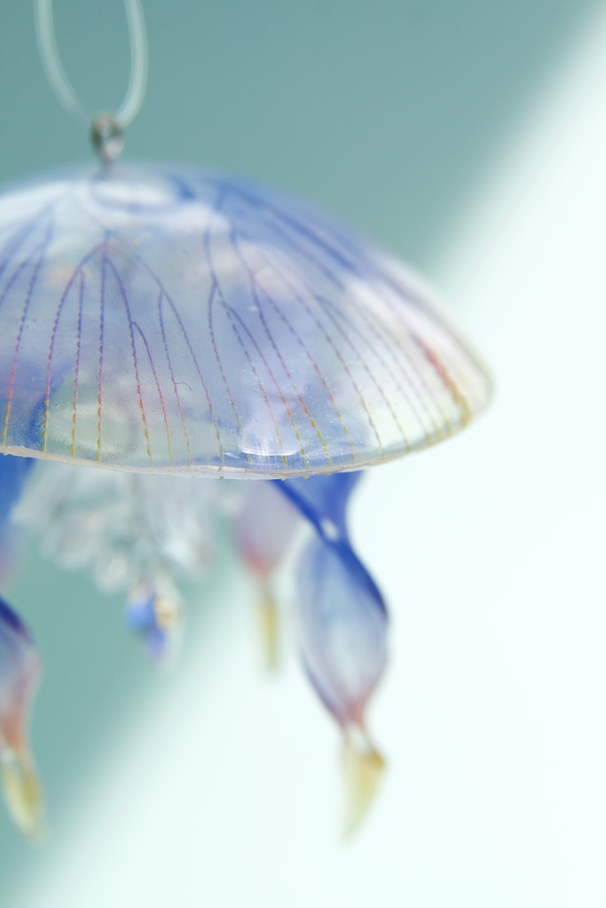 朝焼けミズクラゲのサンキャッチャー