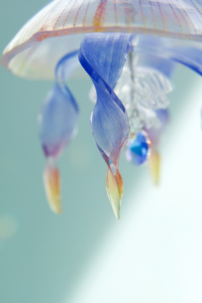 朝焼けミズクラゲのサンキャッチャー