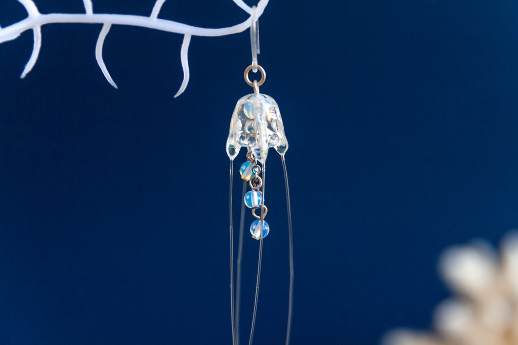 リュウセイクラゲ