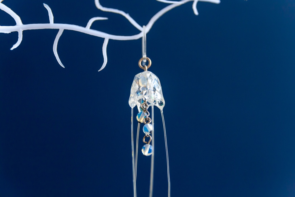 リュウセイクラゲ