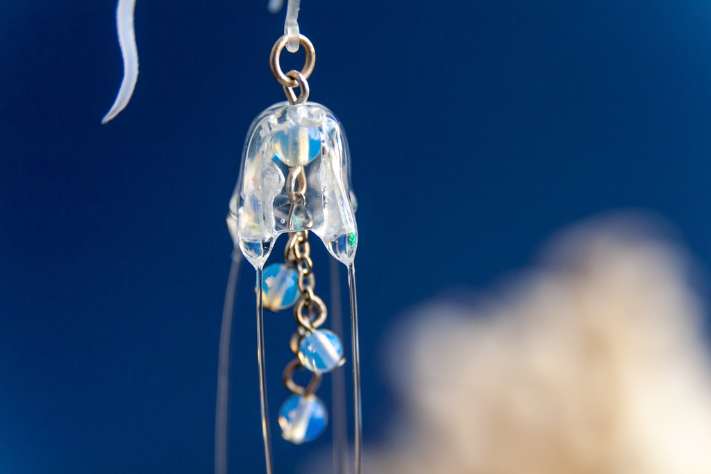 リュウセイクラゲ