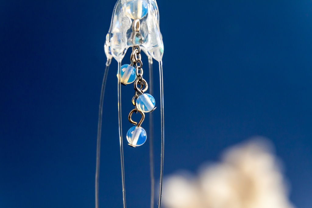 リュウセイクラゲ