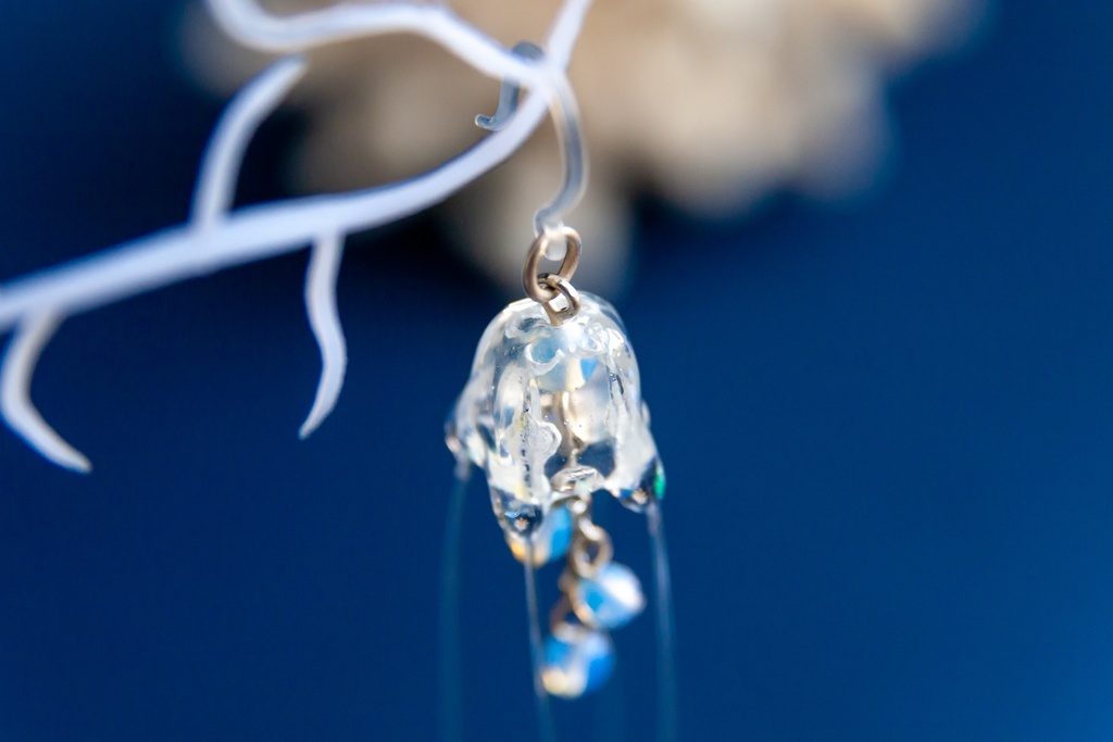 リュウセイクラゲ