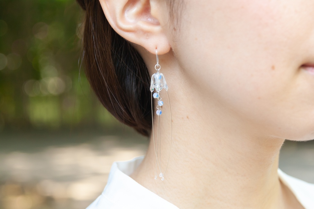 リュウセイクラゲ