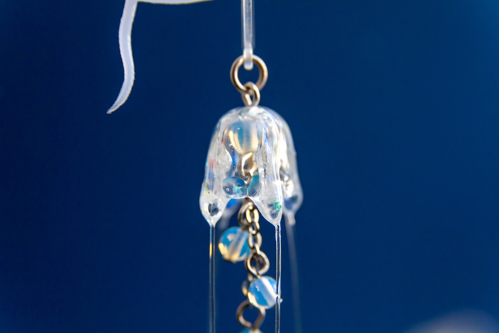 リュウセイクラゲ