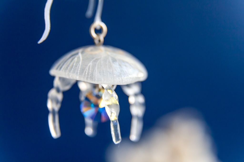 満腹ミズクラゲ