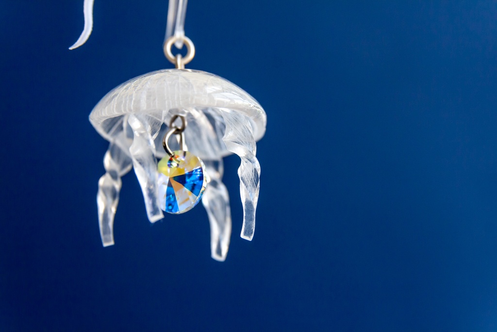 満腹ミズクラゲ