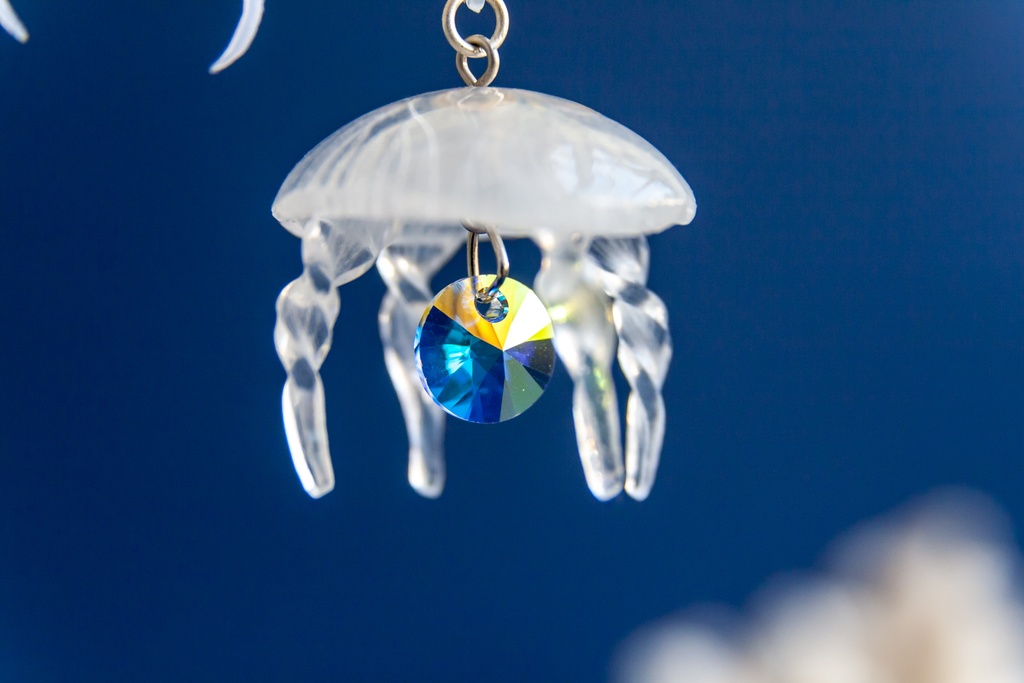 満腹ミズクラゲ