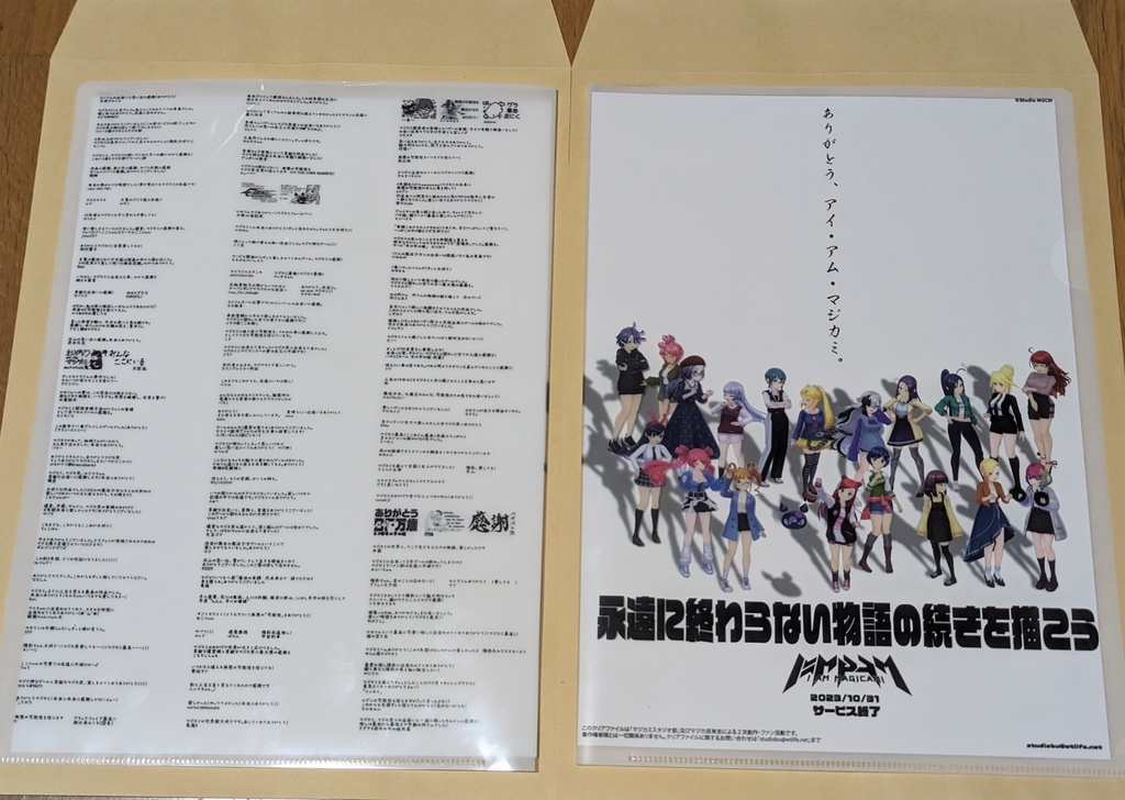 (匿名配送対応)【SEACRET MESSAGE企画】記念クリアファイル