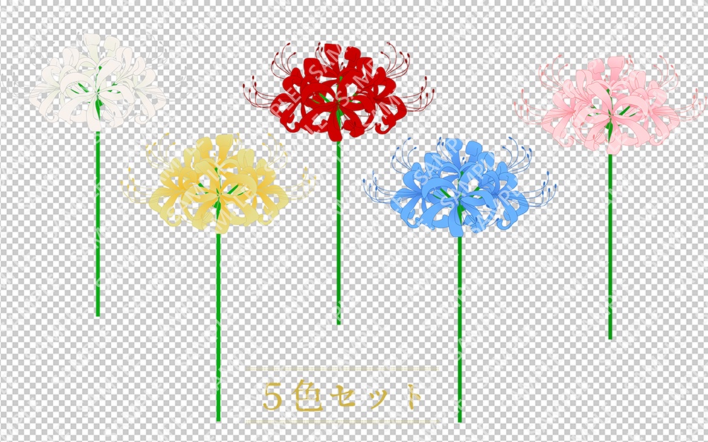 彼岸花のイラスト5色セット 赤・青・黄・白・ピンク