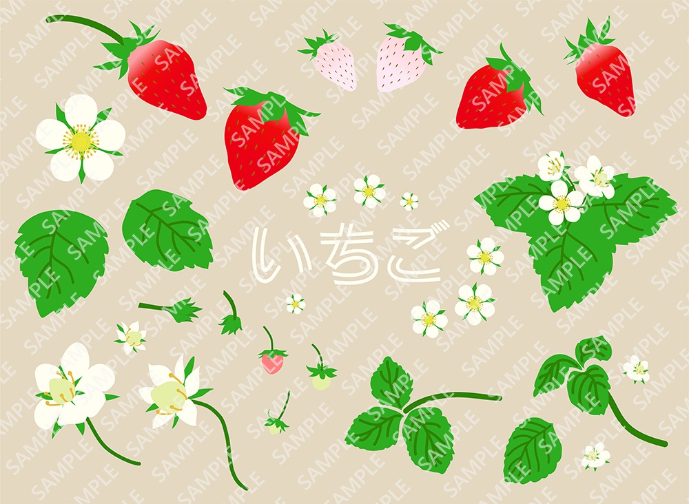 いちご 花 葉っぱ セット【PNG透過/ベクター】