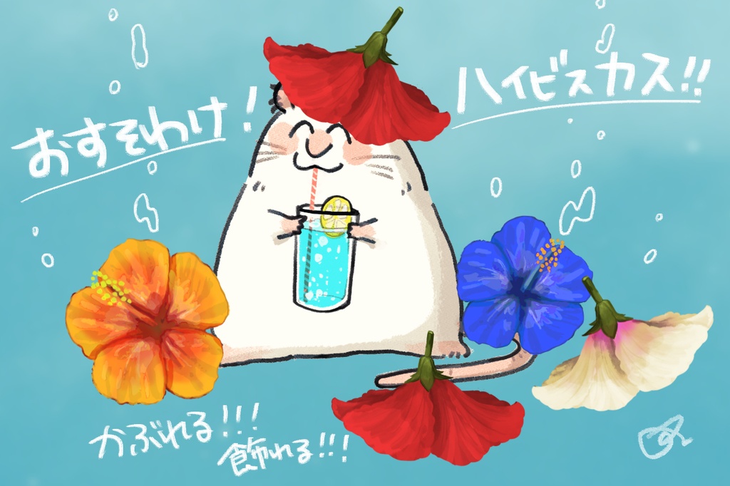 おすそわけハイビスカス