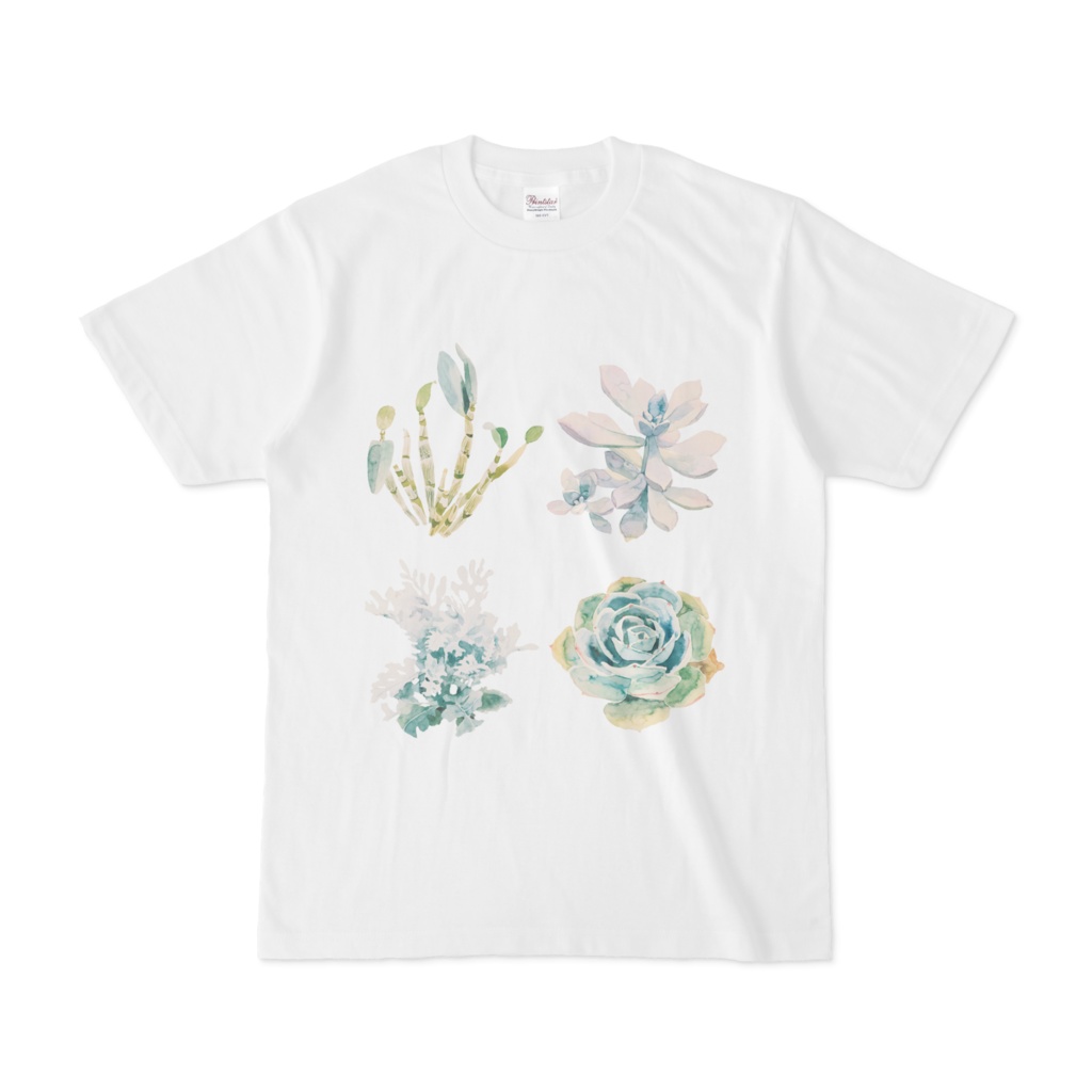 Tシャツ　多肉