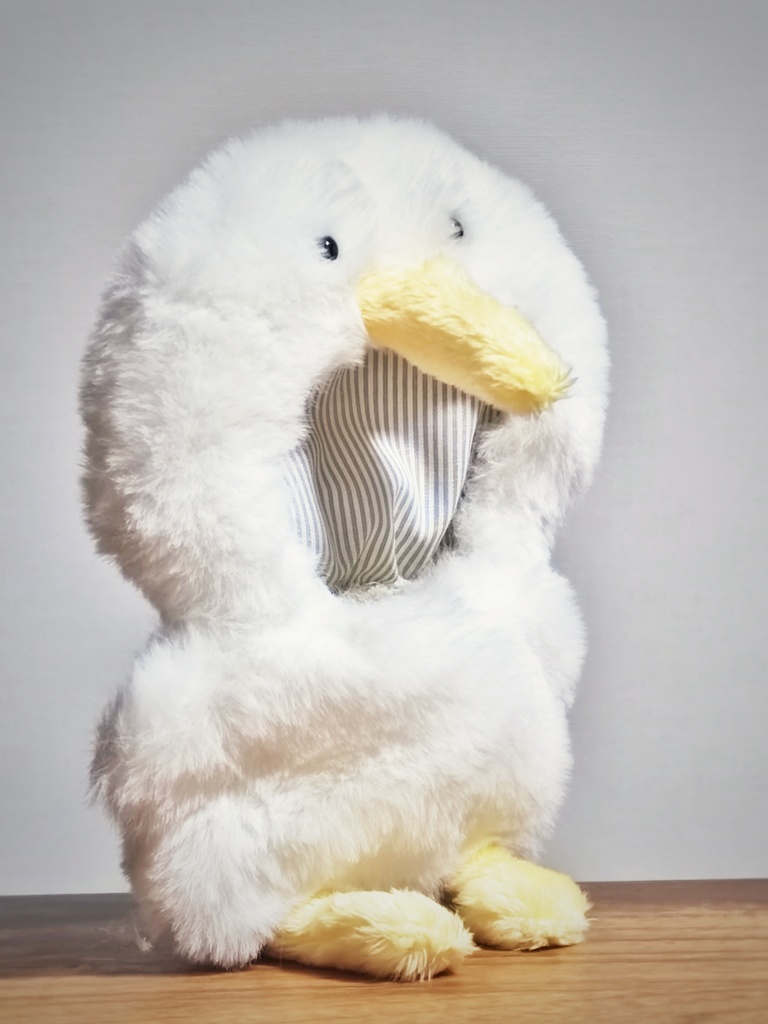 とりの着ぐるみ(10-12cmぬい向け