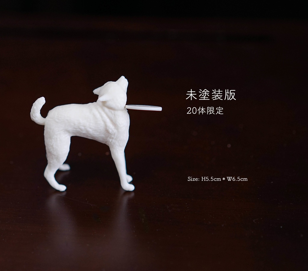 フリスビー直撃犬!