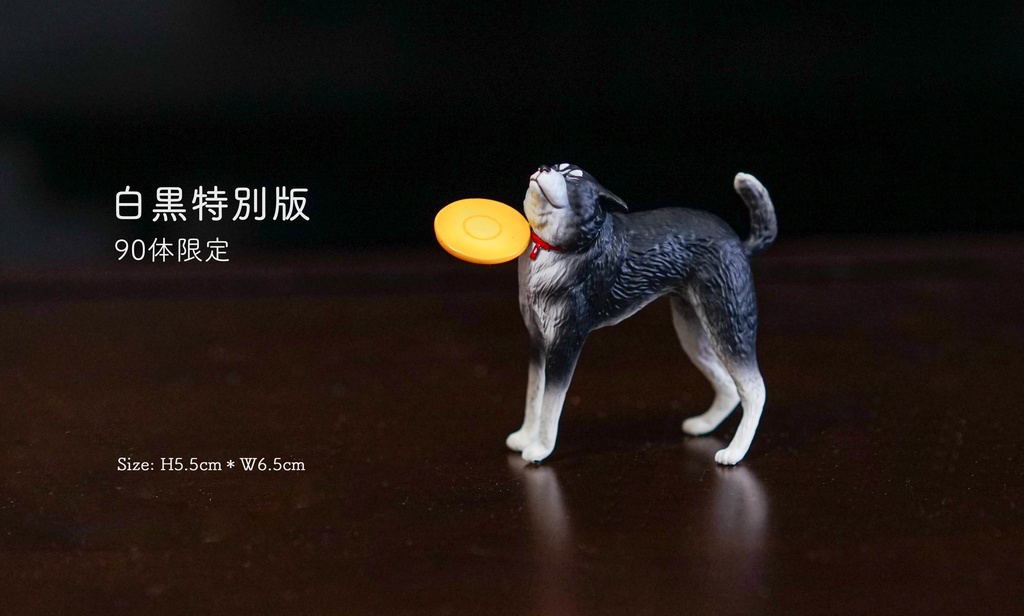 フリスビー直撃犬!