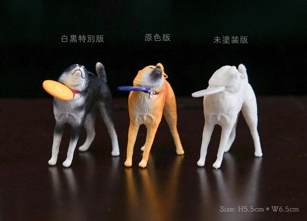 フリスビー直撃犬!