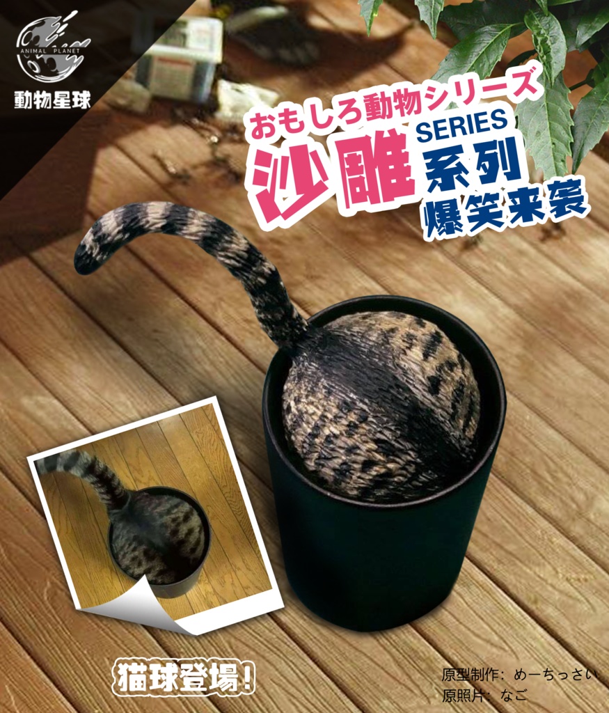 猫球！！！