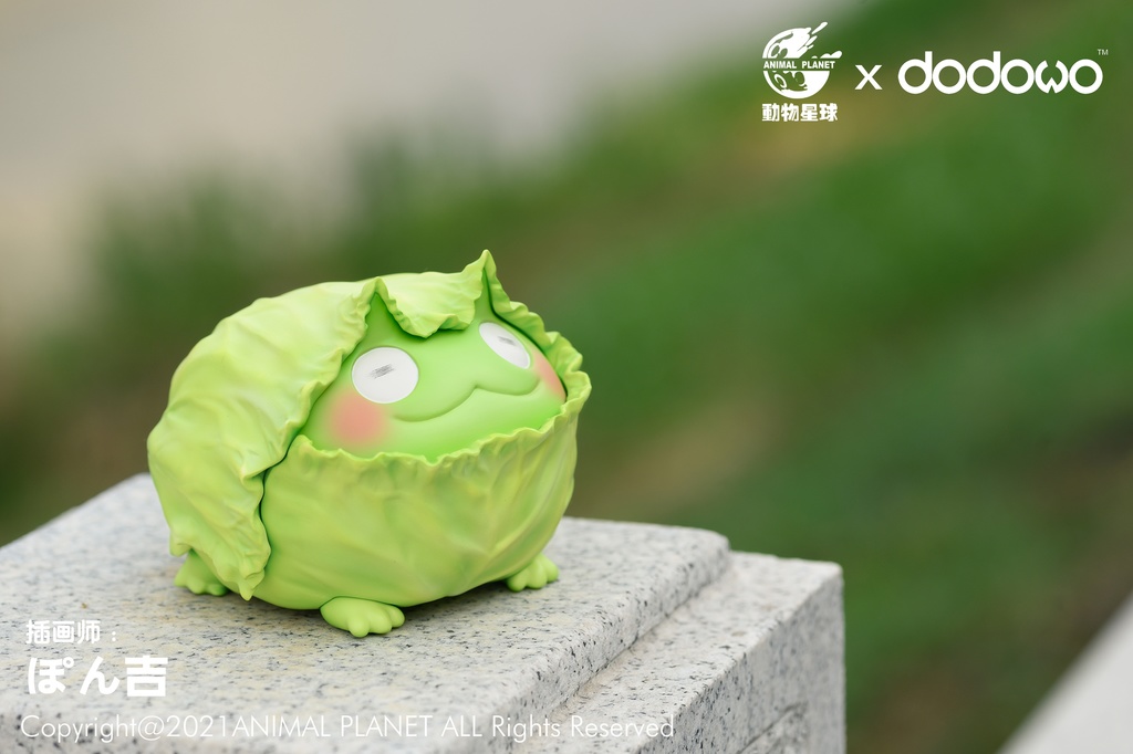 おやさい妖精のキャベツノガエル